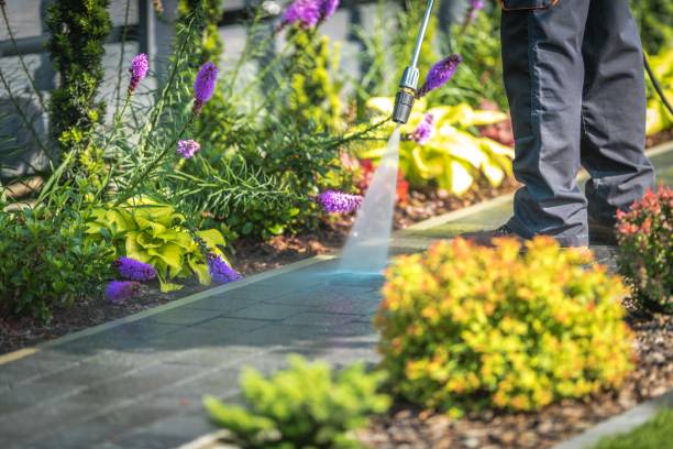 Best Roof Cleaning and Mildew Removal in Kingstowne, VA